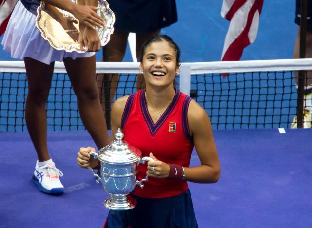 己的能力极 己的能力极