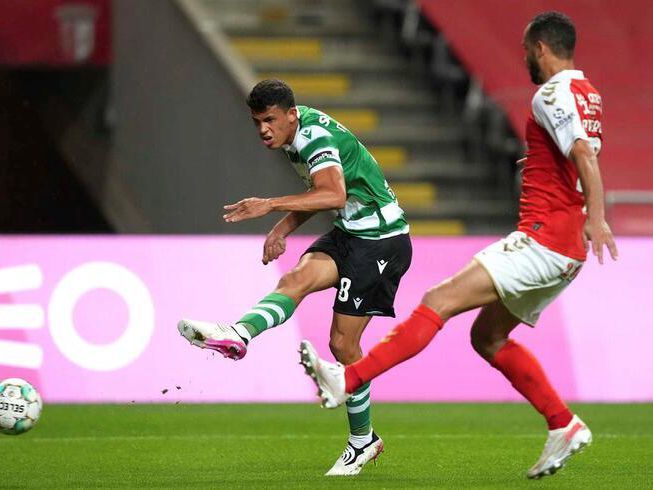 老虎王朝 老虎王朝